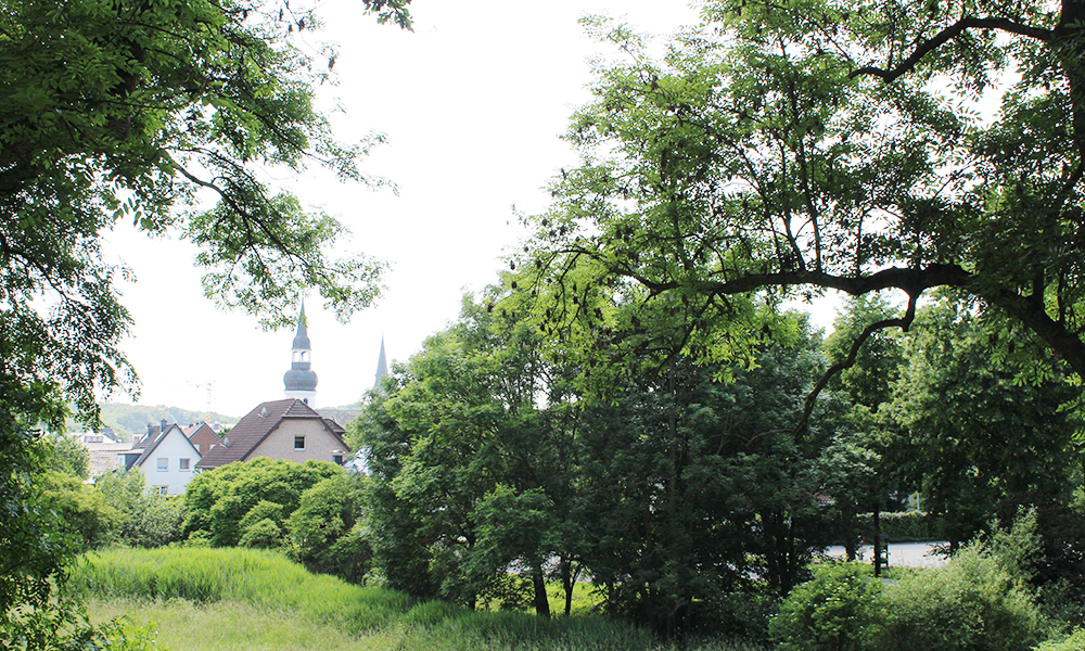 Region Alpen/Niederrhein rund um das Hotel Burgschänke